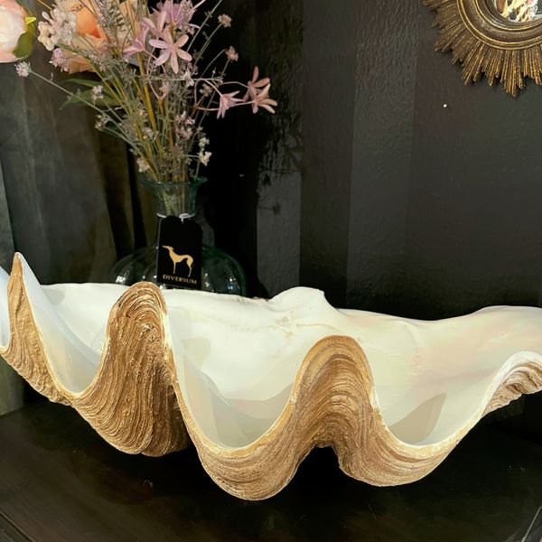 Hovedbilde Stor dekorativ skål med muslingskall Clam Shell