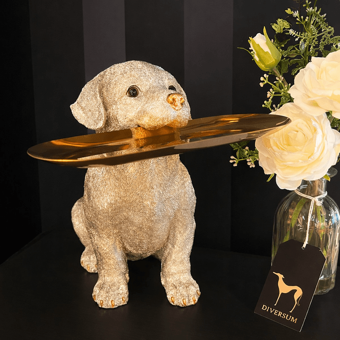 Hovedbilde Labrador hund med fat