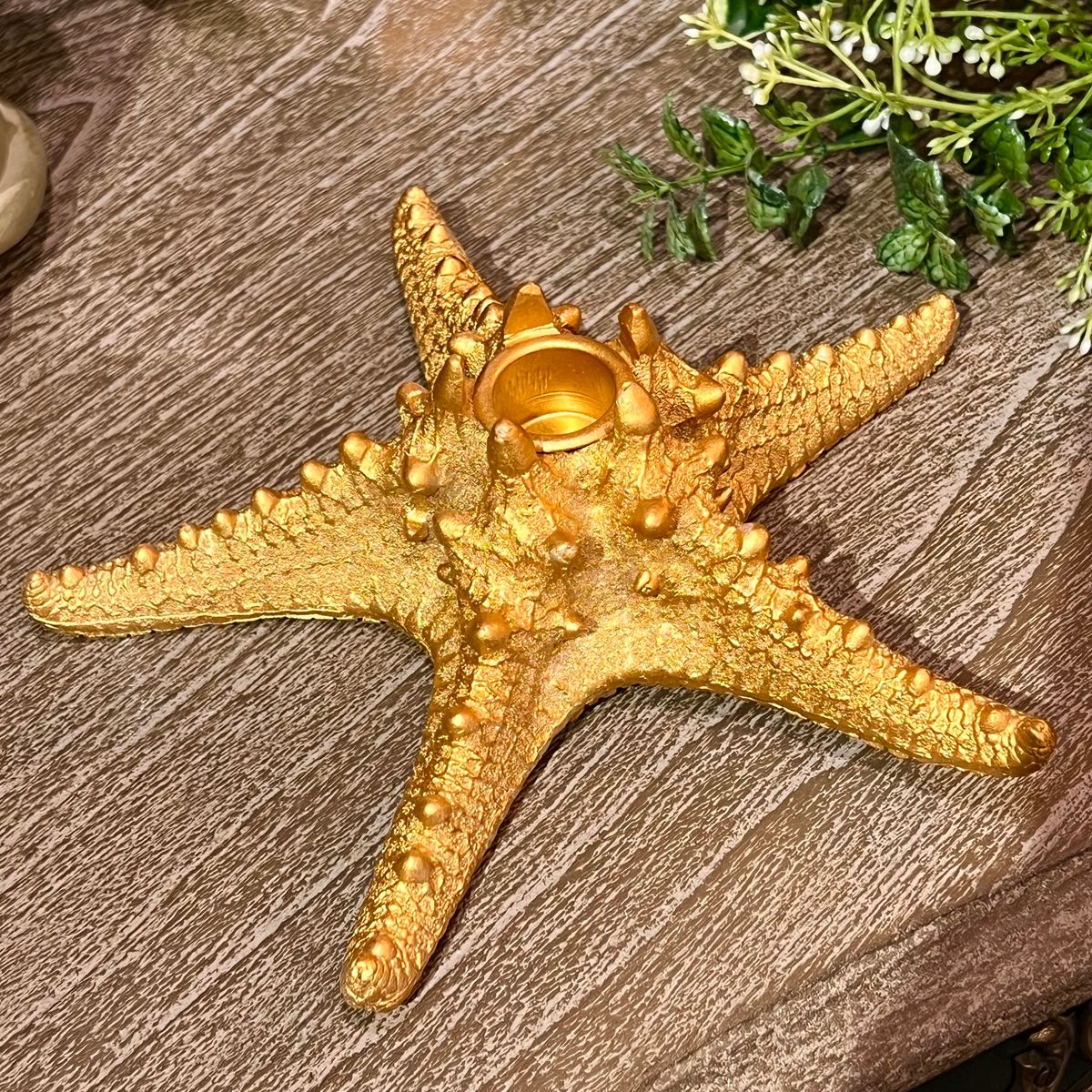 Sjøstjerne lysestake