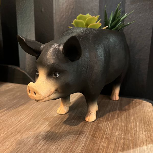 Hovedbilde Piggy blomsterpotte, skål 