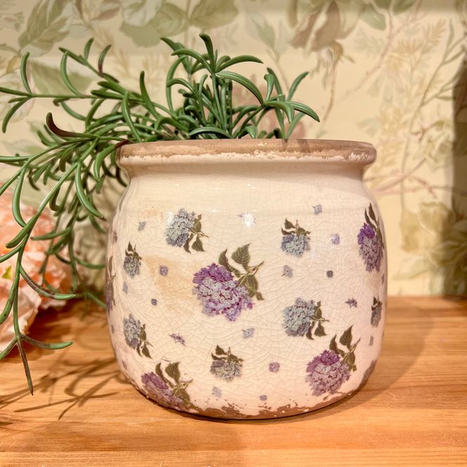 Hovedbillede Potte Blå Hortensia