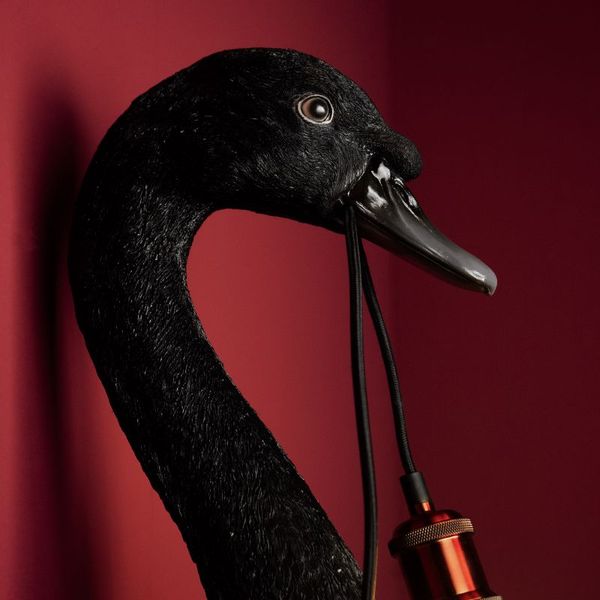 Hovedbilde Petra svane vegglampe WERNS