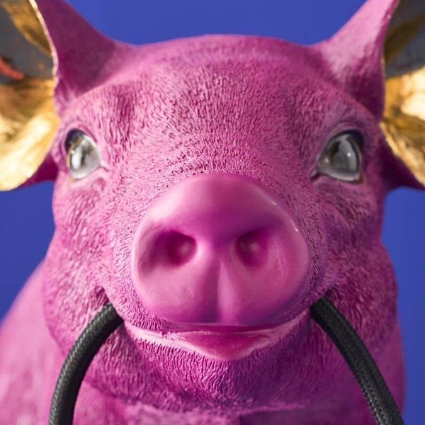 Hovedbilde Piggy Pink  bordlampe
