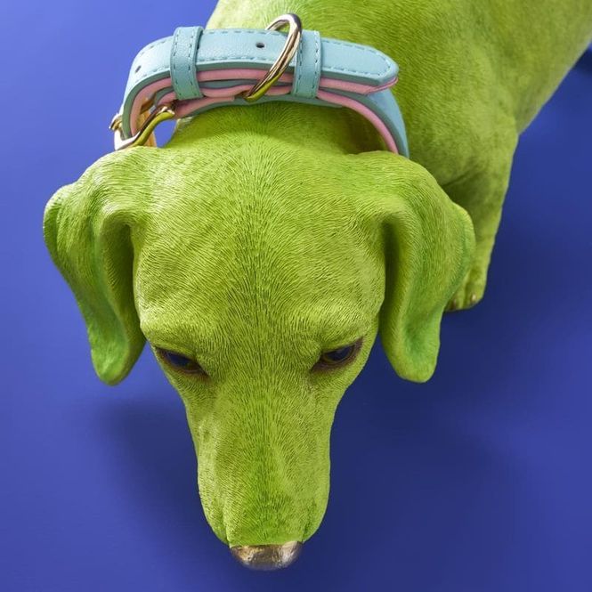 Hovedbilde Wilfried Lasso grønn hundefigur dachshund