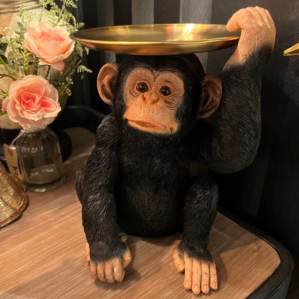 Hovedbilde Ape med brett