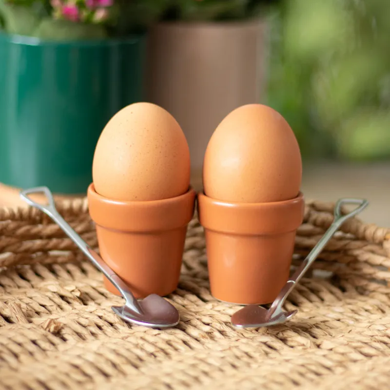 Eggeglass formet som blomsterpotter