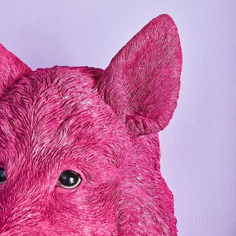 Willy villsvin vegglampe magenta rosa Werns