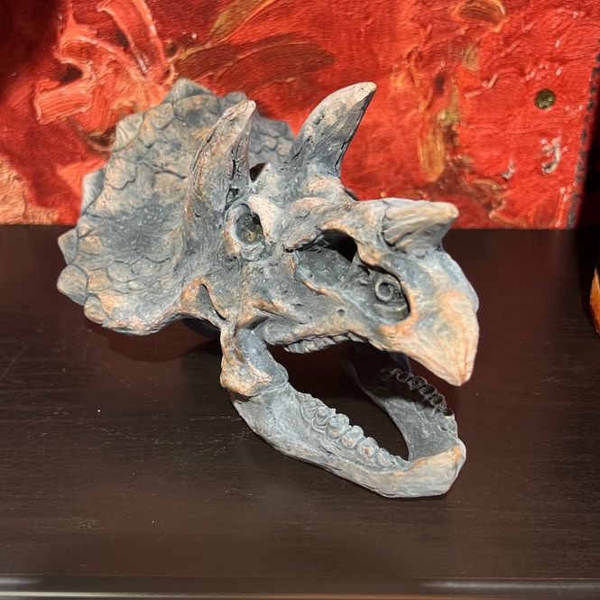 Hovedbilde Triceratops hodeskalle dekor