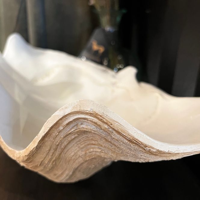 Hovedbilde Stor dekorativ skål med muslingskall Clam Shell